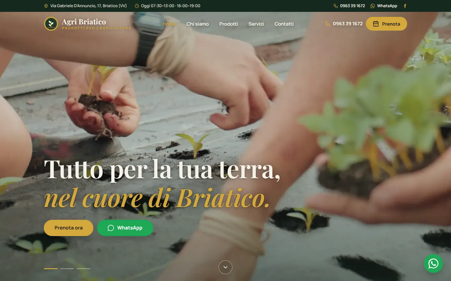 Il sito di Agri Briatico realizzato da WebForge