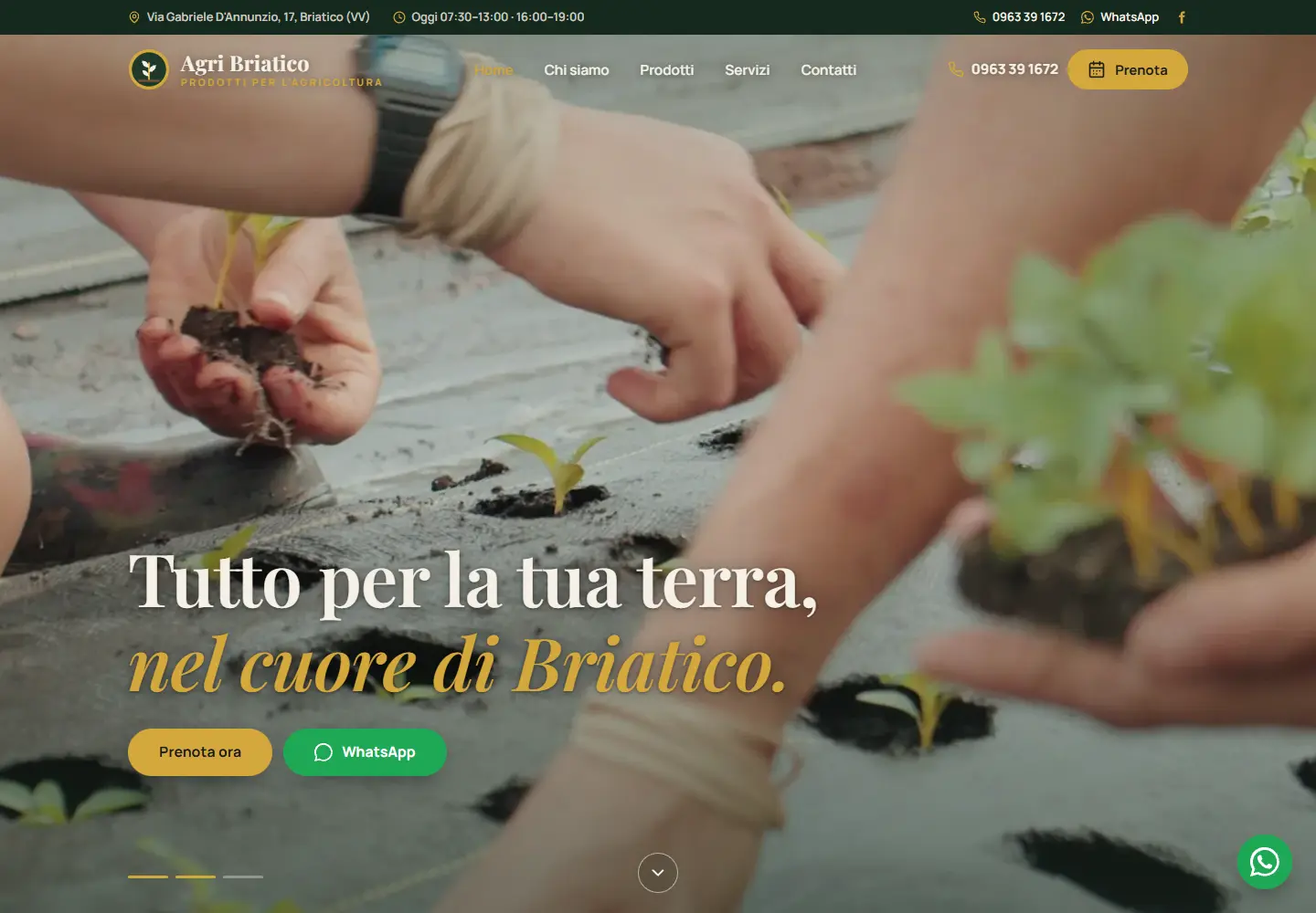 Home page del sito Agri Briatico