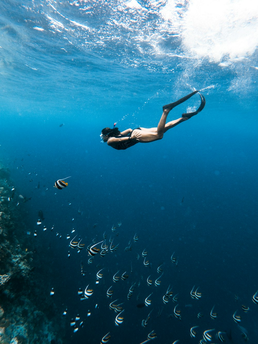 Mare & Nautica