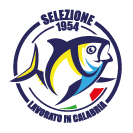 Logo Selezione 1954