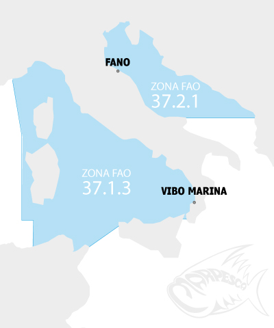 Mappa dell'Italia con evidenziate le zone FAO 37.1.3 nel Mar Tirreno e 37.2.1 nel Mar Adriatico, con le basi di Fano e Vibo Marina