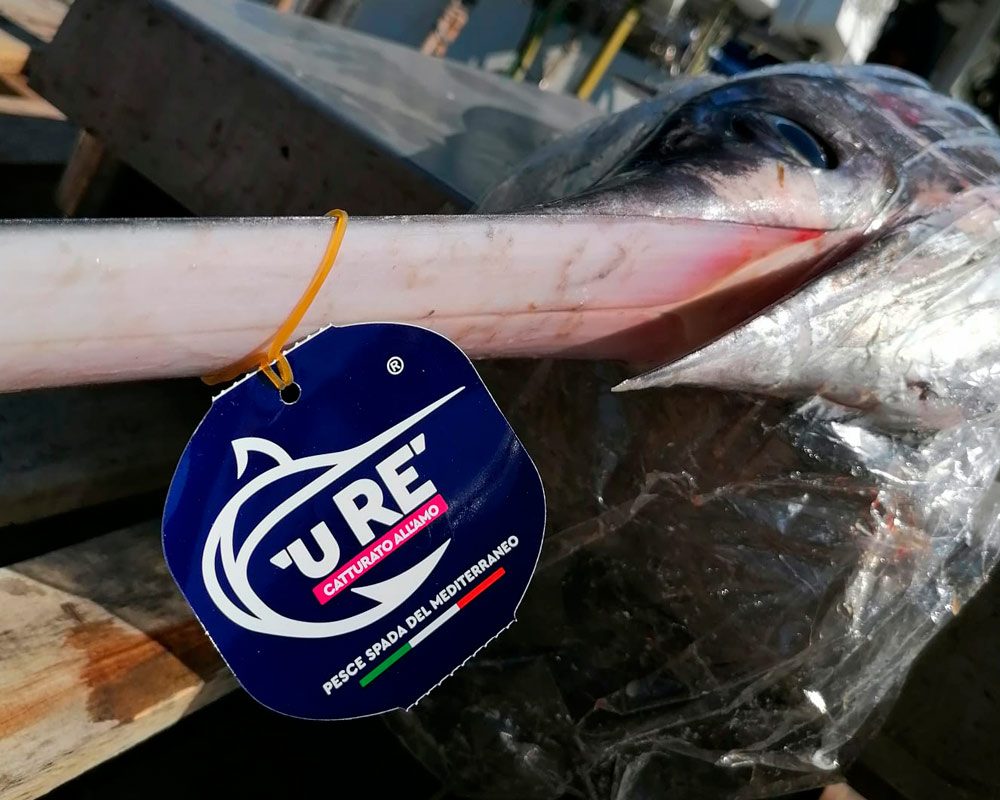 Cartellino 'U Rè legato al rostro di un pesce spada selezionato