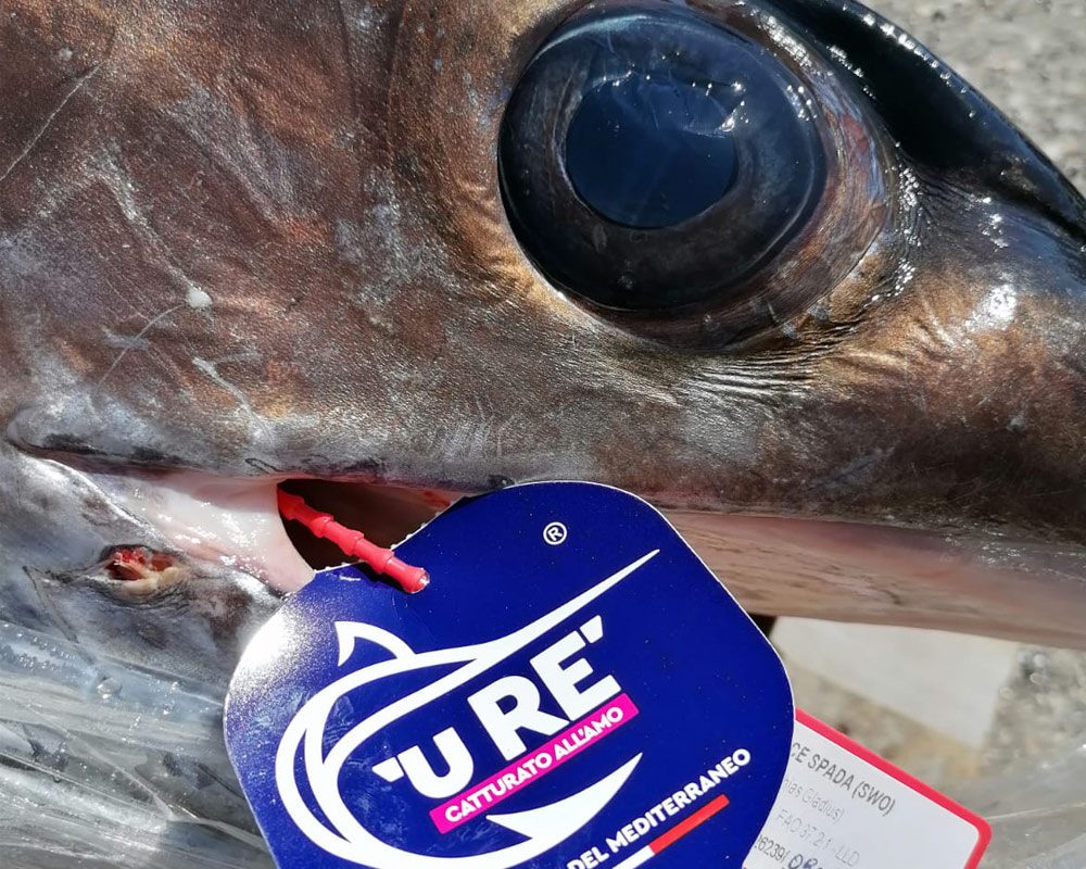 Primo piano della testa di un pesce spada con il cartellino 'U Rè applicato al rostro